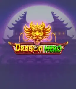 Enter a legendary quest with the Dragon Hero game by Pragmatic Play, featuring vivid visuals of mighty dragons and heroic battles. Explore a land where fantasy meets excitement, with symbols like treasures, mystical creatures, and enchanted weapons for a captivating adventure.