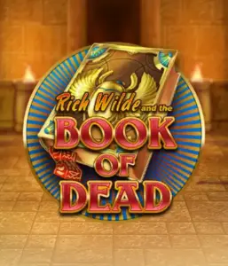 Dive into the thrilling world of Book of Dead by Play'n GO, showcasing vivid graphics of Rich Wilde’s adventurous journey through ancient Egyptian tombs and artifacts. Uncover lost riches with engaging mechanics like free spins, expanding icons, and a gamble option. Ideal for adventure seekers with a desire for exciting finds.